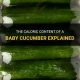 Tiny Calories: Baby Cucumber Calories & Benefits | Baby Care 101: Essential Tips for Happy, Healthy Babies