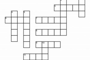 Decoding: Spanish Babies NYT Crossword Clue Hints Baby Care 101: Essential Tips for Happy, Healthy Babies Decoding: Spanish Babies NYT Crossword Clue Hints | Baby Care 101: Essential Tips for Happy, Healthy Babies
