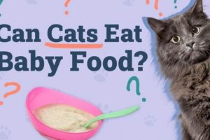 Is Baby Food Safe? Can Cats Eat Baby Food? Food Tips Baby Care 101: Essential Tips for Happy, Healthy Babies Is Baby Food Safe? Can Cats Eat Baby Food? Food Tips | Baby Care 101: Essential Tips for Happy, Healthy Babies