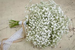 [Guide] How Many Baby's Breath Stems for Your Bouquet? +Tips | Baby Care 101: Essential Tips for Happy, Healthy Babies