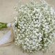 [Guide] How Many Baby's Breath Stems for Your Bouquet? +Tips | Baby Care 101: Essential Tips for Happy, Healthy Babies