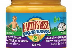 Baby's Health: Is Earth's Best Organic Food Safe? Review Baby Care 101: Essential Tips for Happy, Healthy Babies Baby's Health: Is Earth's Best Organic Food Safe? Review | Baby Care 101: Essential Tips for Happy, Healthy Babies