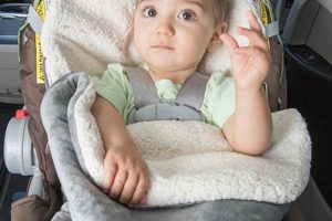 Car Seat Safety: How to Keep Baby Warm + Winter Tips Baby Care 101: Essential Tips for Happy, Healthy Babies Car Seat Safety: How to Keep Baby Warm + Winter Tips | Baby Care 101: Essential Tips for Happy, Healthy Babies