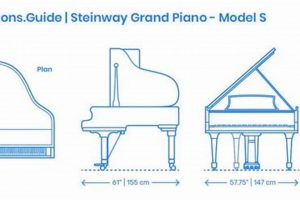 Baby Grand Piano Dimensions: The Complete Guide + Sizes Baby Care 101: Essential Tips for Happy, Healthy Babies Baby Grand Piano Dimensions: The Complete Guide + Sizes | Baby Care 101: Essential Tips for Happy, Healthy Babies