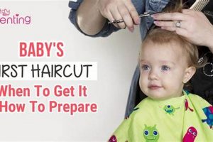 Baby's First Haircut: When is the Right Time? Tips & Guide Baby Care 101: Essential Tips for Happy, Healthy Babies Baby's First Haircut: When is the Right Time? Tips & Guide | Baby Care 101: Essential Tips for Happy, Healthy Babies
