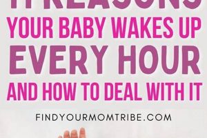 Why Baby Wakes Up Every Hour + How to Help! Baby Care 101: Essential Tips for Happy, Healthy Babies Why Baby Wakes Up Every Hour + How to Help! | Baby Care 101: Essential Tips for Happy, Healthy Babies