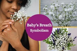 Decoding Baby Breath Meaning: What's That Scent? Baby Care 101: Essential Tips for Happy, Healthy Babies Decoding Baby Breath Meaning: What's That Scent? | Baby Care 101: Essential Tips for Happy, Healthy Babies