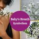 Decoding Baby Breath Meaning: What's That Scent? | Baby Care 101: Essential Tips for Happy, Healthy Babies