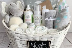 Thoughtful Gender Neutral Baby Gift Basket Ideas + More! Baby Care 101: Essential Tips for Happy, Healthy Babies Thoughtful Gender Neutral Baby Gift Basket Ideas + More! | Baby Care 101: Essential Tips for Happy, Healthy Babies