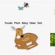 Best Baby Deer Food: Guide & Care Tips for Fawns | Baby Care 101: Essential Tips for Happy, Healthy Babies