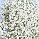 Buy Fresh Baby's Breath Flowers | Delivered Fresh! | Baby Care 101: Essential Tips for Happy, Healthy Babies