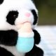 Cuddly Panda Baby Toy: Plush Pals & More! | Baby Care 101: Essential Tips for Happy, Healthy Babies