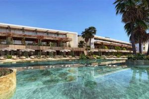 Aruba's Secret: Baby Beach Reviews & Tips (2024) Baby Care 101: Essential Tips for Happy, Healthy Babies Aruba's Secret: Baby Beach Reviews & Tips (2024) | Baby Care 101: Essential Tips for Happy, Healthy Babies