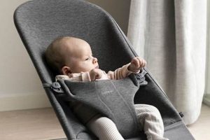 Enhance Playtime: Baby Bjorn Bouncer Toys & Accessories! Baby Care 101: Essential Tips for Happy, Healthy Babies Enhance Playtime: Baby Bjorn Bouncer Toys & Accessories! | Baby Care 101: Essential Tips for Happy, Healthy Babies