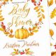 Shop Cute Fall Baby Shower Invites & More! | Baby Care 101: Essential Tips for Happy, Healthy Babies