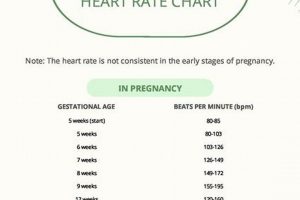 Decoding Baby Boy BPM: Meaning, Range & Tips Baby Care 101: Essential Tips for Happy, Healthy Babies Decoding Baby Boy BPM: Meaning, Range & Tips | Baby Care 101: Essential Tips for Happy, Healthy Babies