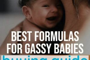 Top Formulas: What is the Best Formula for Gassy Babies? Relief! Baby Care 101: Essential Tips for Happy, Healthy Babies Top Formulas: What is the Best Formula for Gassy Babies? Relief! | Baby Care 101: Essential Tips for Happy, Healthy Babies