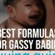 Top Formulas: What is the Best Formula for Gassy Babies? Relief! | Baby Care 101: Essential Tips for Happy, Healthy Babies