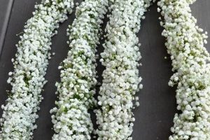 Shop Delicate Baby Breath Garland + Decor Trends Baby Care 101: Essential Tips for Happy, Healthy Babies Shop Delicate Baby Breath Garland + Decor Trends | Baby Care 101: Essential Tips for Happy, Healthy Babies