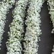 Shop Delicate Baby Breath Garland + Decor Trends | Baby Care 101: Essential Tips for Happy, Healthy Babies