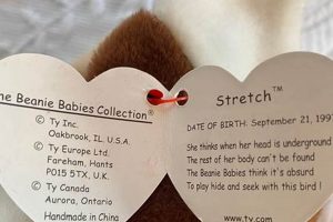 Collecting Stretch Beanie Baby Treasures: Values & More! Baby Care 101: Essential Tips for Happy, Healthy Babies Collecting Stretch Beanie Baby Treasures: Values & More! | Baby Care 101: Essential Tips for Happy, Healthy Babies