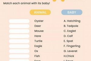 Fun Zoom Baby Shower Games! Easy & Unique Ideas Baby Care 101: Essential Tips for Happy, Healthy Babies Fun Zoom Baby Shower Games! Easy & Unique Ideas | Baby Care 101: Essential Tips for Happy, Healthy Babies