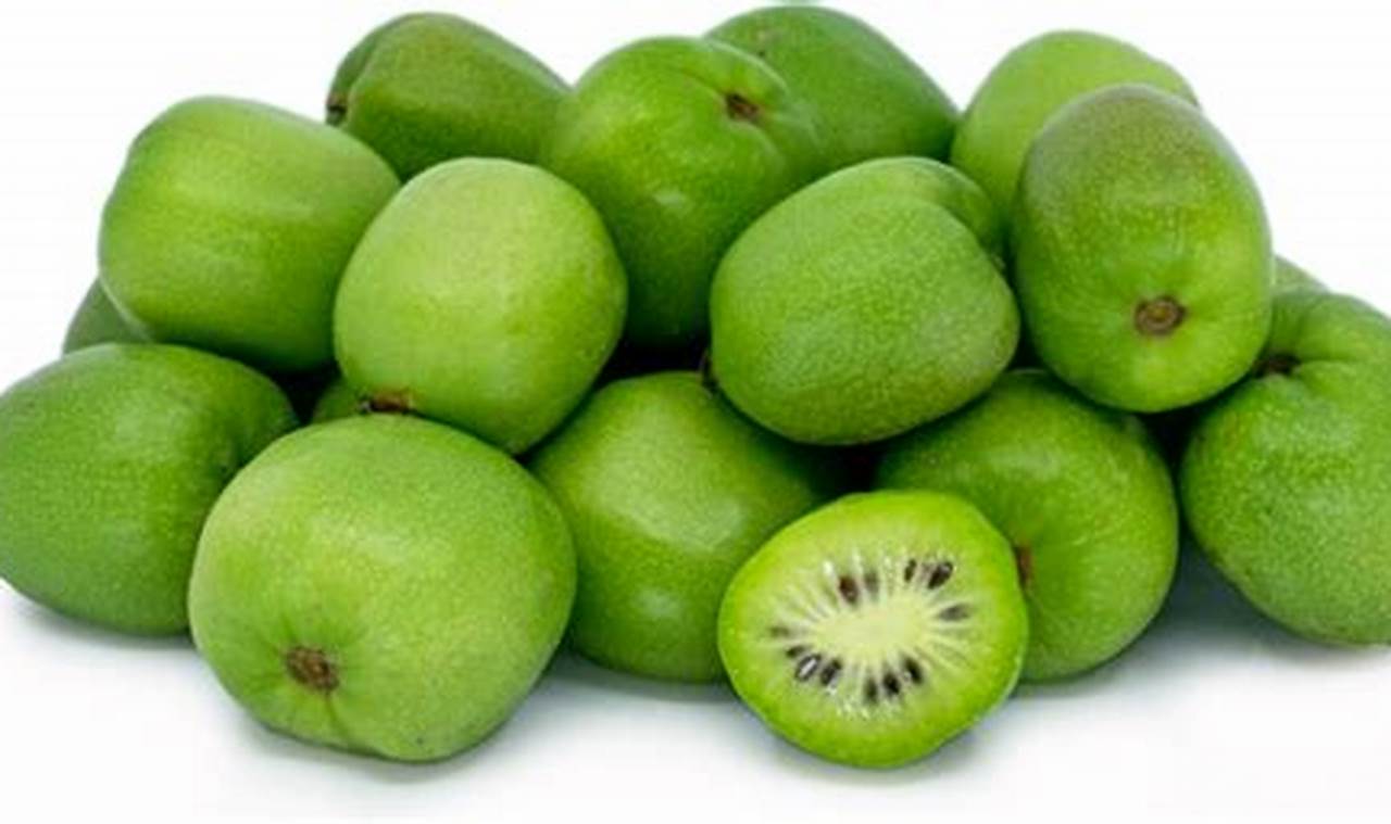 Tiny Treat: Baby Kiwi Benefits for Your Baby! Baby Care 101: Essential Tips for Happy, Healthy Babies Tiny Treat: Baby Kiwi Benefits for Your Baby! | Baby Care 101: Essential Tips for Happy, Healthy Babies