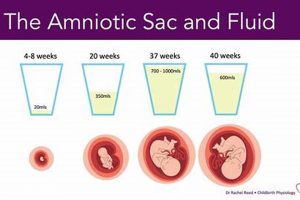 Is My Baby OK? Measuring 2 Weeks Behind Explained Baby Care 101: Essential Tips for Happy, Healthy Babies Is My Baby OK? Measuring 2 Weeks Behind Explained | Baby Care 101: Essential Tips for Happy, Healthy Babies