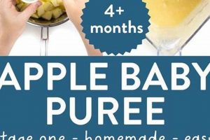 Best Apple Puree for Baby: Recipes & Tips Baby Care 101: Essential Tips for Happy, Healthy Babies Best Apple Puree for Baby: Recipes & Tips | Baby Care 101: Essential Tips for Happy, Healthy Babies