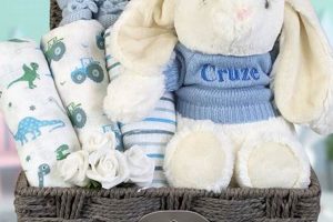 Find Special Unique Personalised Baby Boy Gifts Ideas Baby Care 101: Essential Tips for Happy, Healthy Babies Find Special Unique Personalised Baby Boy Gifts Ideas | Baby Care 101: Essential Tips for Happy, Healthy Babies