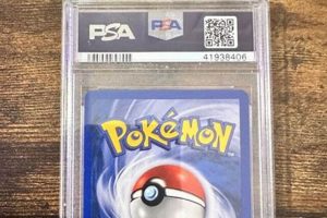 Rare 2000 Baby Pikachu Italian Mint 9: Collectors' Gem! Baby Care 101: Essential Tips for Happy, Healthy Babies Rare 2000 Baby Pikachu Italian Mint 9: Collectors' Gem! | Baby Care 101: Essential Tips for Happy, Healthy Babies