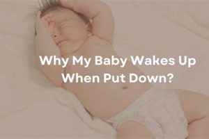 Why Babies Wake Up When Put Down: Tips & Solutions Baby Care 101: Essential Tips for Happy, Healthy Babies Why Babies Wake Up When Put Down: Tips & Solutions | Baby Care 101: Essential Tips for Happy, Healthy Babies
