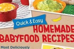 Easy Baby Food Recipe Book: Homemade & Healthy! Baby Care 101: Essential Tips for Happy, Healthy Babies Easy Baby Food Recipe Book: Homemade & Healthy! | Baby Care 101: Essential Tips for Happy, Healthy Babies