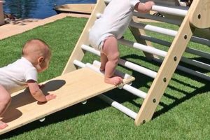 Best Climbing Toys for Babies: Safe & Fun Play! Baby Care 101: Essential Tips for Happy, Healthy Babies Best Climbing Toys for Babies: Safe & Fun Play! | Baby Care 101: Essential Tips for Happy, Healthy Babies
