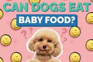 Baby Food for Dogs: Safe Treat or Risky Meal? Baby Care 101: Essential Tips for Happy, Healthy Babies Baby Food for Dogs: Safe Treat or Risky Meal? | Baby Care 101: Essential Tips for Happy, Healthy Babies