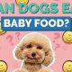 Baby Food for Dogs: Safe Treat or Risky Meal? | Baby Care 101: Essential Tips for Happy, Healthy Babies