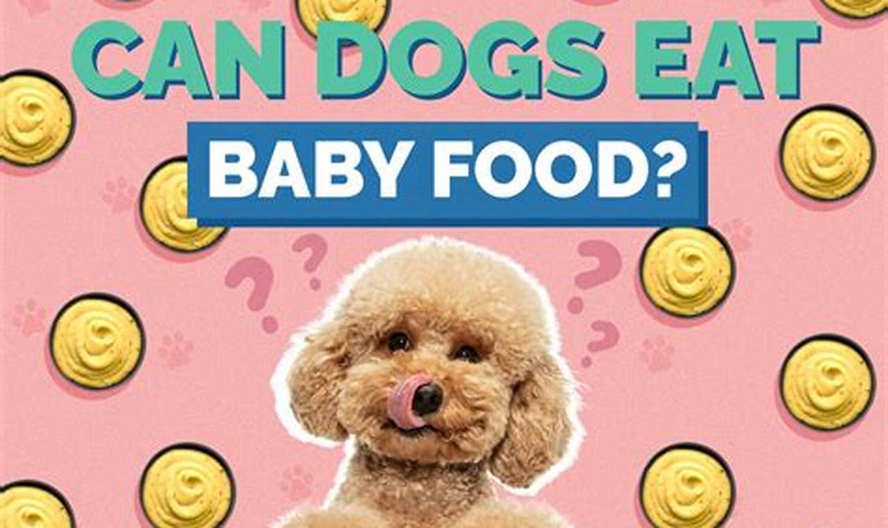 Baby Food for Dogs: Safe Treat or Risky Meal? Baby Care 101: Essential Tips for Happy, Healthy Babies Baby Food for Dogs: Safe Treat or Risky Meal? | Baby Care 101: Essential Tips for Happy, Healthy Babies
