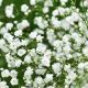 Why My Baby's Breath Smells? Causes &amp; Solutions! | Baby Care 101: Essential Tips for Happy, Healthy Babies