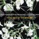 Protect Your Cat: Is Baby's Breath Poisonous? Safe Flowers | Baby Care 101: Essential Tips for Happy, Healthy Babies