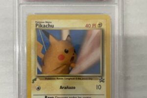 Rare Find: 2000 Baby Pikachu Spanish Mint 9 Card Value Baby Care 101: Essential Tips for Happy, Healthy Babies Rare Find: 2000 Baby Pikachu Spanish Mint 9 Card Value | Baby Care 101: Essential Tips for Happy, Healthy Babies
