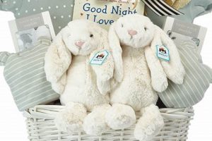 Unique Twin Baby Gifts Ideas [Guide] | Baby Care 101: Essential Tips for Happy, Healthy Babies