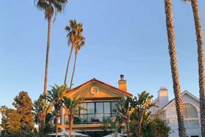 Mila_Babie OnlyFans: Hot Content & More Baby Care 101: Essential Tips for Happy, Healthy Babies Mila_Babie OnlyFans: Hot Content & More | Baby Care 101: Essential Tips for Happy, Healthy Babies