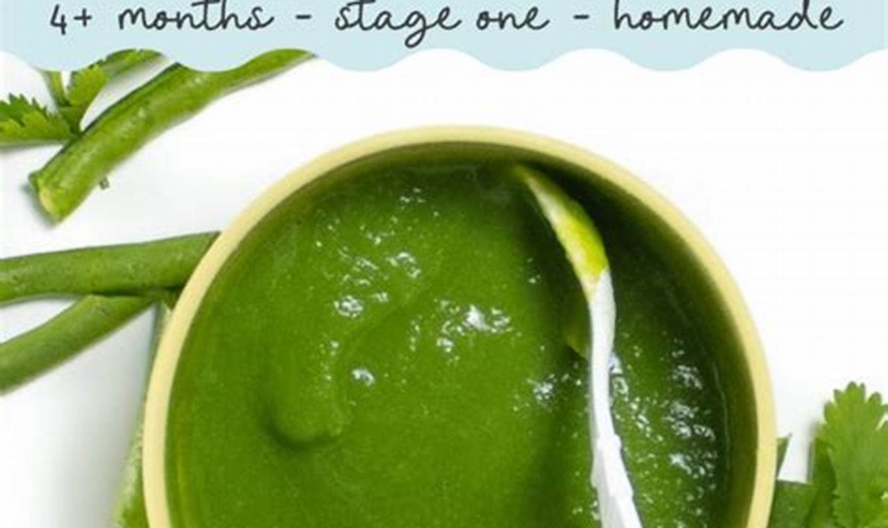 Quick & Easy Green Bean Baby Food Recipe: A Healthy Start! Baby Care 101: Essential Tips for Happy, Healthy Babies Quick & Easy Green Bean Baby Food Recipe: A Healthy Start! | Baby Care 101: Essential Tips for Happy, Healthy Babies