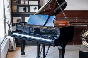 Why Steinway Baby Grand Piano is Perfect for Little Mozart Baby Care 101: Essential Tips for Happy, Healthy Babies Why Steinway Baby Grand Piano is Perfect for Little Mozart | Baby Care 101: Essential Tips for Happy, Healthy Babies