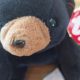 Beanie Baby Value Lookup: Find Out What They're Worth! | Baby Care 101: Essential Tips for Happy, Healthy Babies