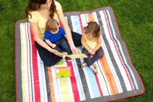 Best Outdoor Baby Blanket: For Safe Play & Comfort! Baby Care 101: Essential Tips for Happy, Healthy Babies Best Outdoor Baby Blanket: For Safe Play & Comfort! | Baby Care 101: Essential Tips for Happy, Healthy Babies
