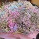 Charming Hoa Baby Bouquets: Delicate & Sweet | Baby Care 101: Essential Tips for Happy, Healthy Babies