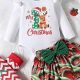 Festive Newborn Baby Girl Christmas Outfit Ideas! | Baby Care 101: Essential Tips for Happy, Healthy Babies