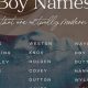 Wild West Baby Boy Names: Western Edition & Meanings | Baby Care 101: Essential Tips for Happy, Healthy Babies