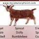 Cute Baby Goat Names: Ideas & Inspiration | Baby Care 101: Essential Tips for Happy, Healthy Babies